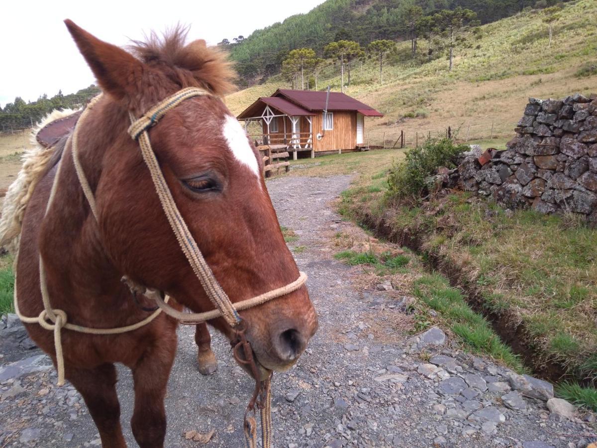 Cabanas Fazenda Da Raia Urubici Luaran gambar